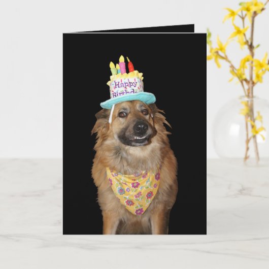 Niedlicher Schäferhund Mix Geburtstaghund Karte (Gelbe Blume)