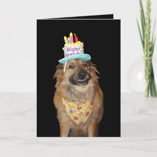 Niedlicher Schäferhund Mix Geburtstaghund Karte