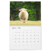 Niedlicher Schafkalender Kalender (Feb 2026)