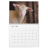 Niedlicher Schafkalender Kalender (Mär 2027)
