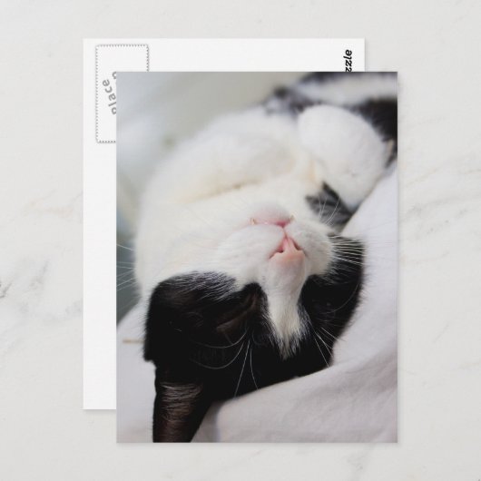 Niedlicher Schlaf Postkarte (Vorne/Hinten)