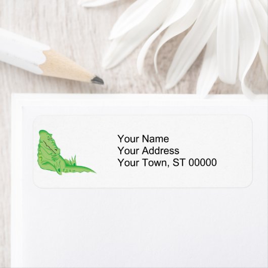 niedlicher Schlafalligator (Insitu)