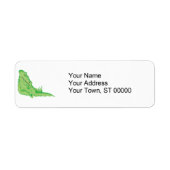 niedlicher Schlafalligator (Vorne)