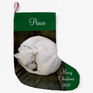 Niedlicher schlafender weißer Hund verschlingt den Kleiner Weihnachtsstrumpf