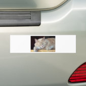 NIEDLICHER SCHLÄFRIGER CAT AUTOAUFKLEBER (Auf Auto)