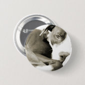 niedlicher, schläfriger Grubenbulling Button (Vorne & Hinten)
