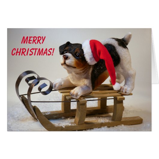 Niedlicher Schlittenhund Weihnachten (Vorderseite (Horizontal))
