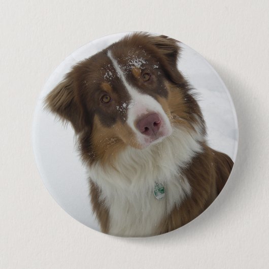 Niedlicher Schneehund Button (Vorderseite)