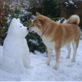 niedlicher Schneehund Keramik Kugel-Ornament
