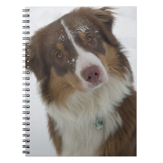 Niedlicher Schneehund Notizblock (Vorderseite)
