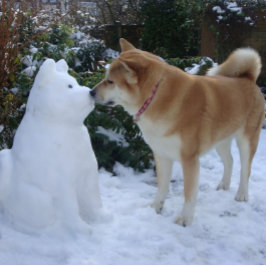 niedlicher Schneemann akita Hund Puzzle
