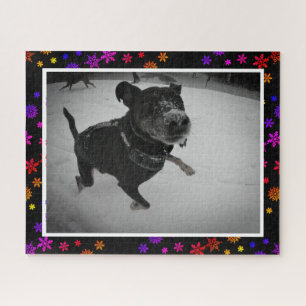 Niedlicher Schneeschuh für Hunde Schwarzes Labor Puzzle