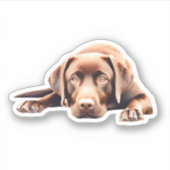 Niedlicher Schokolade-Labrador Aufkleber (Vorderseite)