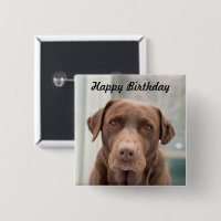 niedlicher Schokolade Labrador Happy Birthday