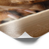 Niedlicher Schokolade Labrador Pit Mix Dog Fotodruck (Ecke)