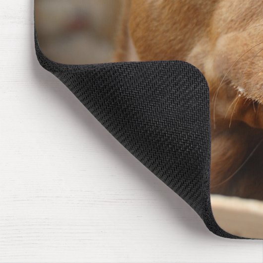 Niedlicher Schokolade Labrador Pit Mix Dog Mousepad (Ecke)