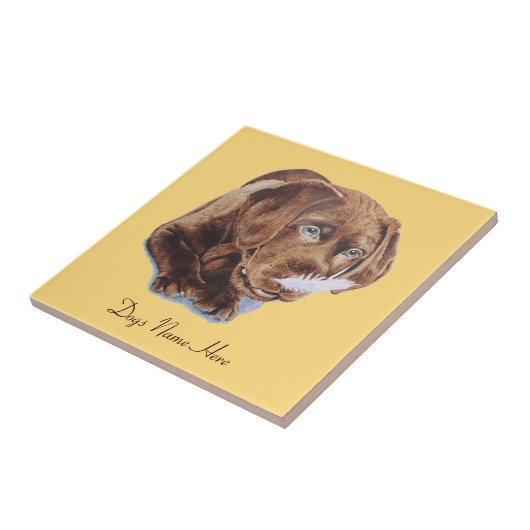 niedlicher schokoladenbrauner fliese (Seite)