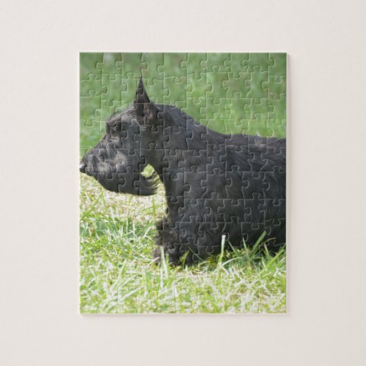 Niedlicher schottischer Terrier Puzzle (Vertikal)