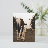 niedlicher Schwanz Postkarte (Stehend Vorderseite)