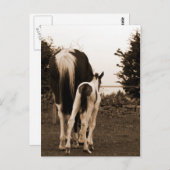 niedlicher Schwanz Postkarte (Vorne/Hinten)