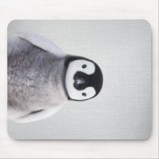 Niedlicher Schwarz-Weiß-Baby-Pinguin Mousepad