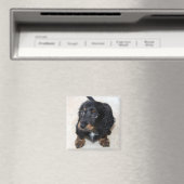 Niedlicher schwarzer Dackel Welpenhund Magnet (In Situ (Geschirrspüler))