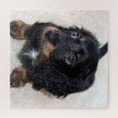 Niedlicher schwarzer Dackel Welpenhund Puzzle (Horizontal)