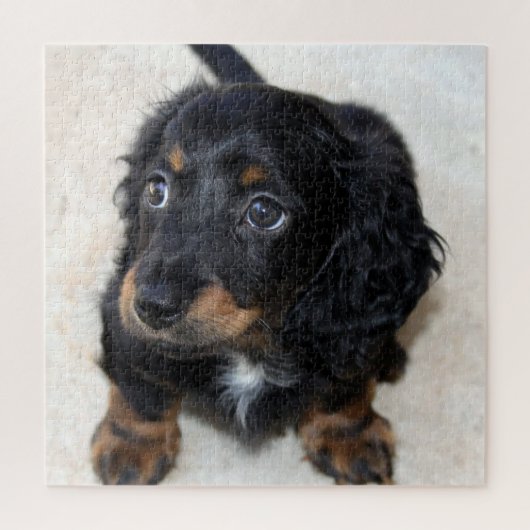 Niedlicher schwarzer Dackel Welpenhund Puzzle (Vertikal)