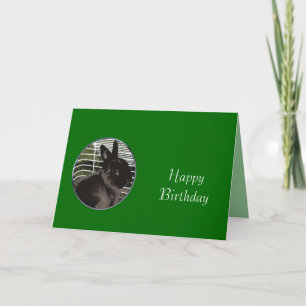 Niedlicher Schwarzer Hasen Geburtstag Karte