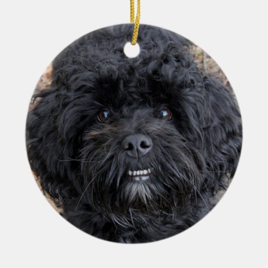 Niedlicher schwarzer Hund, Keramik Ornament (Vorne)