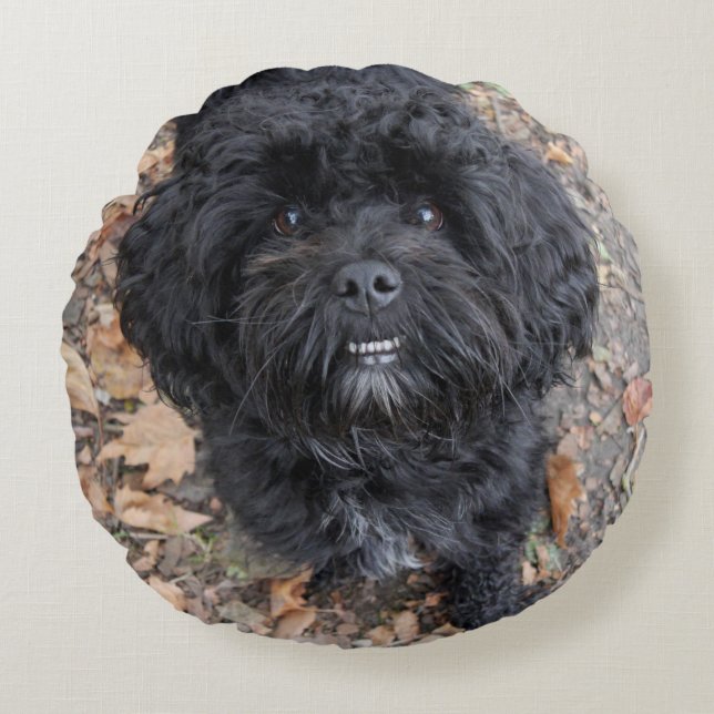 Niedlicher schwarzer Hund Rundes Kissen (Vorderseite)