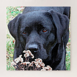 Niedlicher schwarzer Lab Hund schwarz Labrador Ret Puzzle