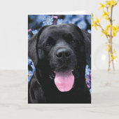 Niedlicher Schwarzer Lab Labrador Retriever Hund Karte (Gelbe Blume)
