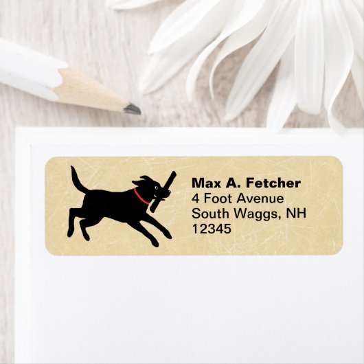 Niedlicher Schwarzer Labrador-Retriever läuft | Fu (Insitu)