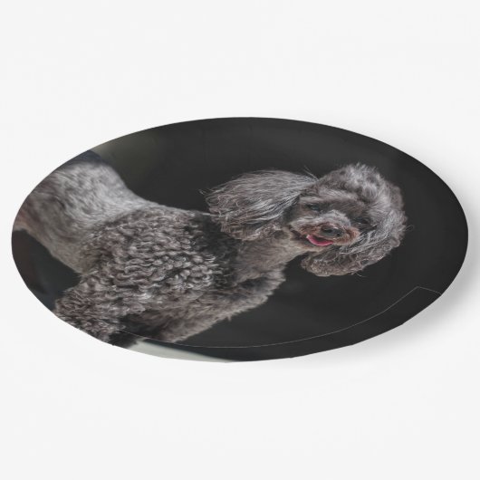 Niedlicher schwarzer Poodle Hund Kopf lächeln Pappteller (Schrägansicht)