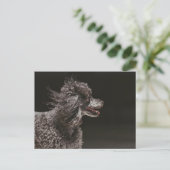 Niedlicher Schwarzer-Poodle-Kopf-Wind Postkarte (Stehend Vorderseite)