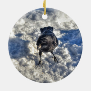 Niedlicher Schwarzer Rabe im Schnee-Foto Keramikornament