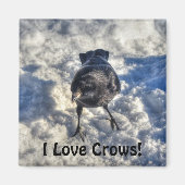 Niedlicher Schwarzer Rabe im Schnee-Foto Magnet (Vorne)