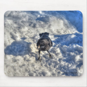 Niedlicher Schwarzer Rabe im Schnee-Foto Mousepad