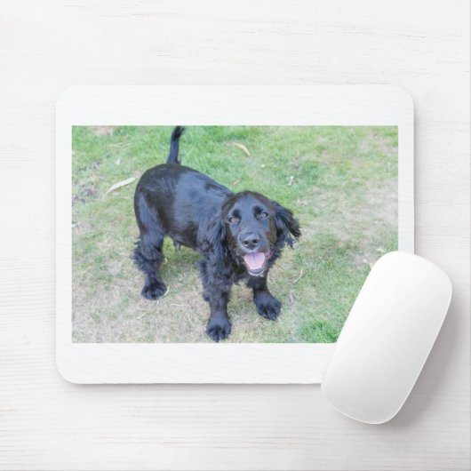 Niedlicher Schwarzer Welpe Mousepad (Mit Mouse)
