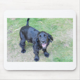 Niedlicher Schwarzer Welpe Mousepad
