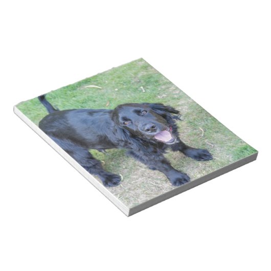 Niedlicher Schwarzer Welpe Notizblock (angewinkelt)