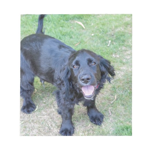 Niedlicher Schwarzer Welpe Notizblock (Vorderseite)