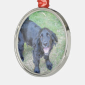 Niedlicher Schwarzer Welpe Silbernes Ornament (Links)