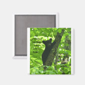 Niedlicher Schwarzgebirge Magnet (Vorderseite/Rückseite)