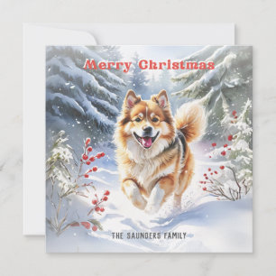 Niedlicher schwedischer Lapphund Dog Snow Frohe We Feiertagskarte