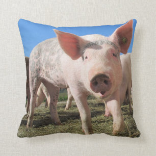 Niedlicher Schweinekissen Kissen