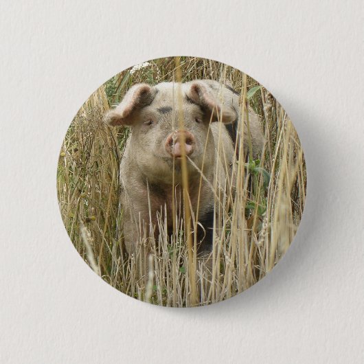 Niedlicher Schweinekopf Button (Vorderseite)