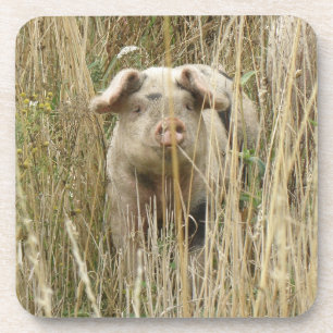 Niedlicher Schweinekork-Untersetzer Untersetzer