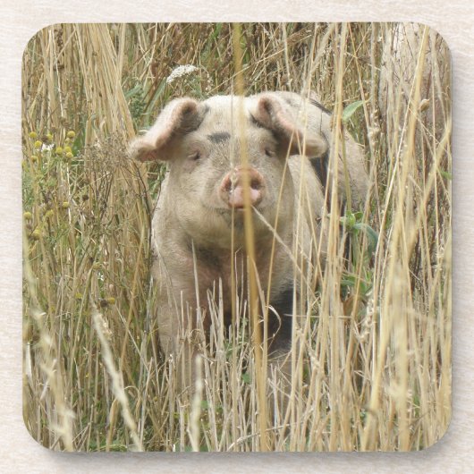 Niedlicher Schweinekork-Untersetzer Untersetzer (Vorderseite)
